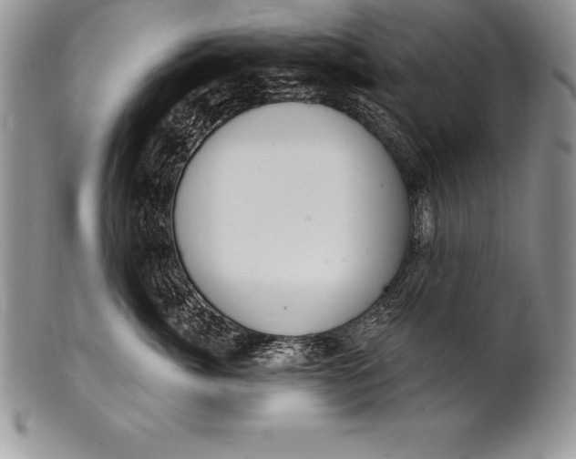 X0000100410764200806201759