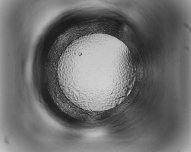 X0000100410765200806201759