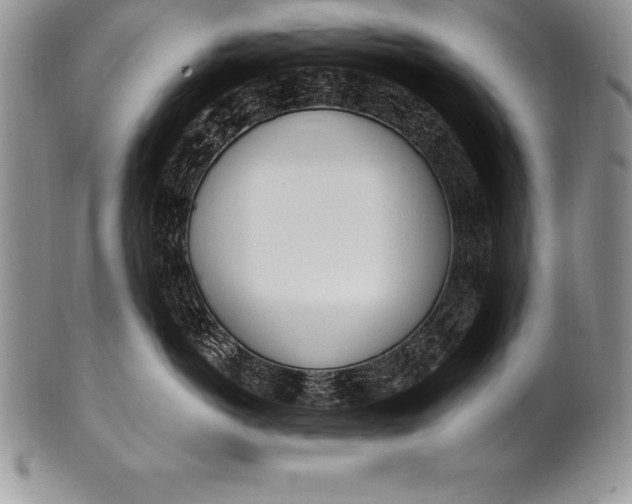 X0000100410766200806201759