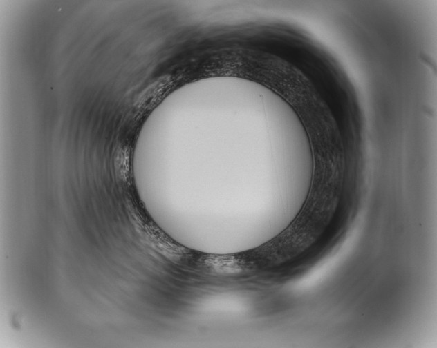 X0000100410767200806201759