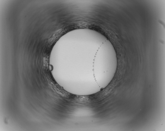 X0000100410768200806201759