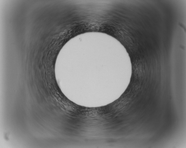 X0000100410769200806201758