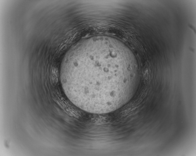 X0000100410772200806201758