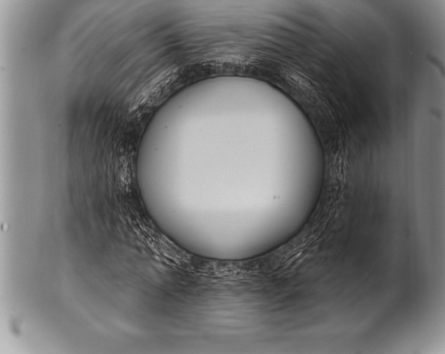 X0000100410774200806201758