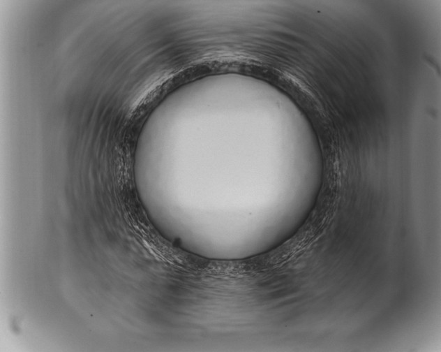 X0000100410775200806201758