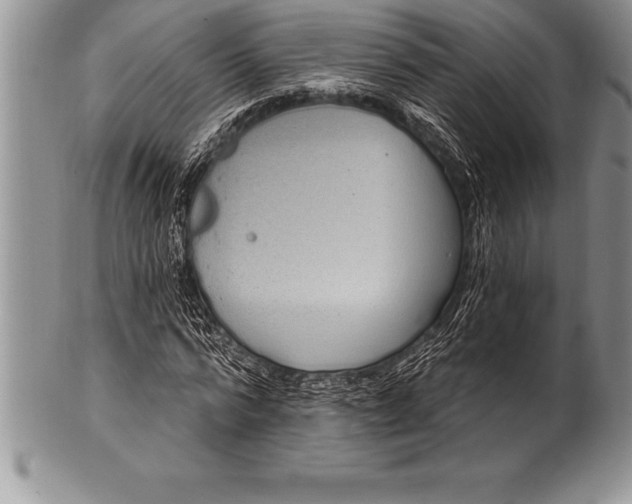 X0000100410776200806201758