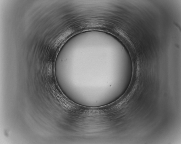 X0000100410777200806201758