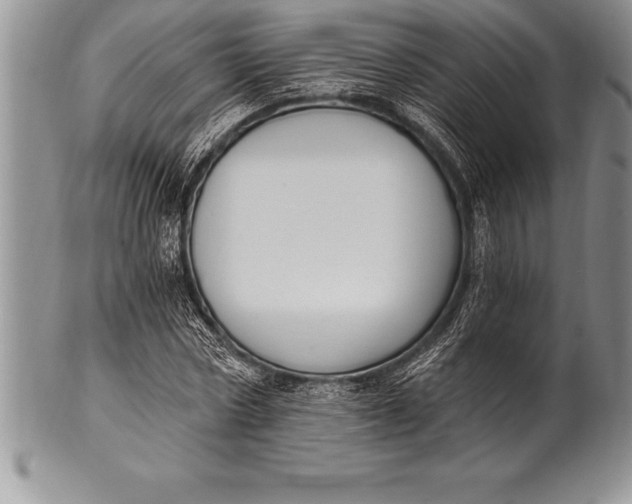 X0000100410778200806201758