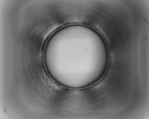 X0000100410779200806201758