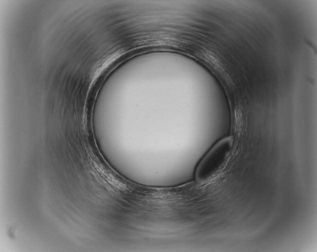 X0000100410780200806201758