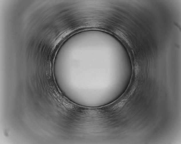 X0000100410781200806201758