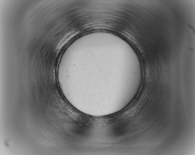 X0000100410782200806201758