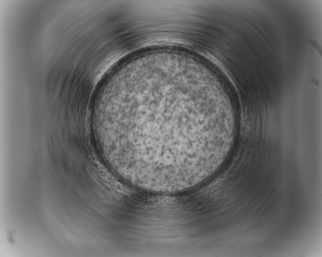 X0000100410783200806201758