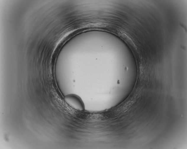 X0000100410784200806201758