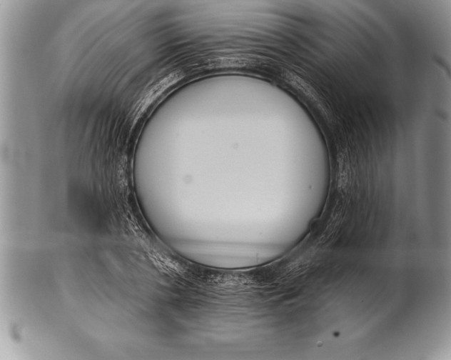 X0000100410786200806201758