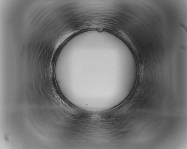 X0000100410787200806201758