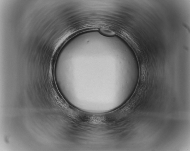 X0000100410788200806201758