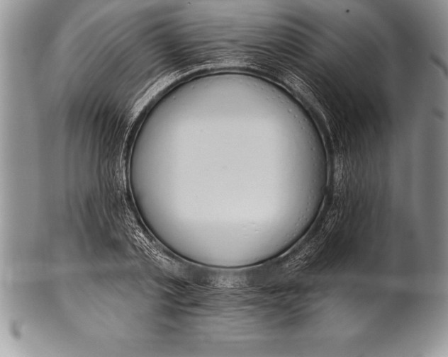 X0000100410789200806201758