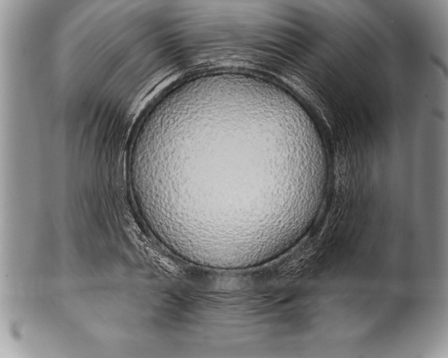 X0000100410790200806201758