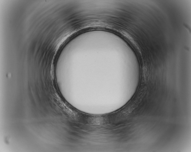 X0000100410791200806201758