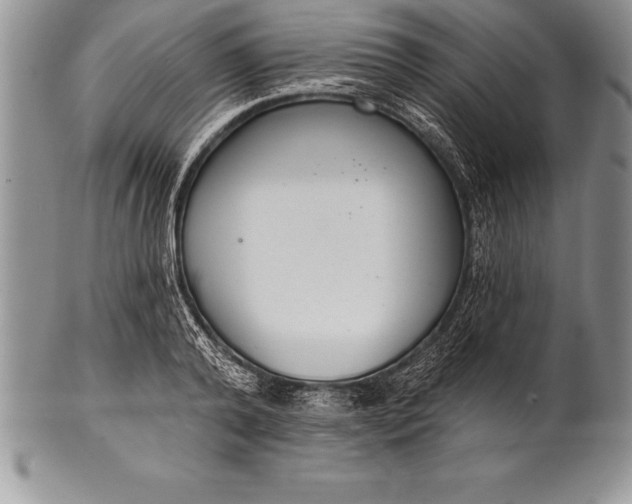 X0000100410792200806201758