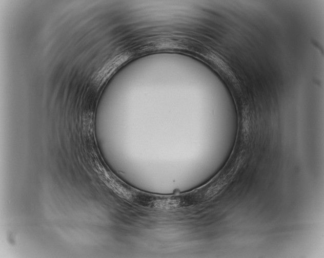 X0000100410793200806201758