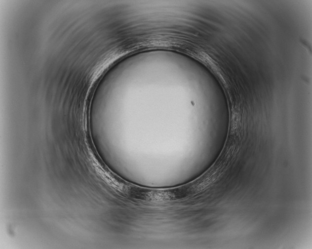 X0000100410795200806201758