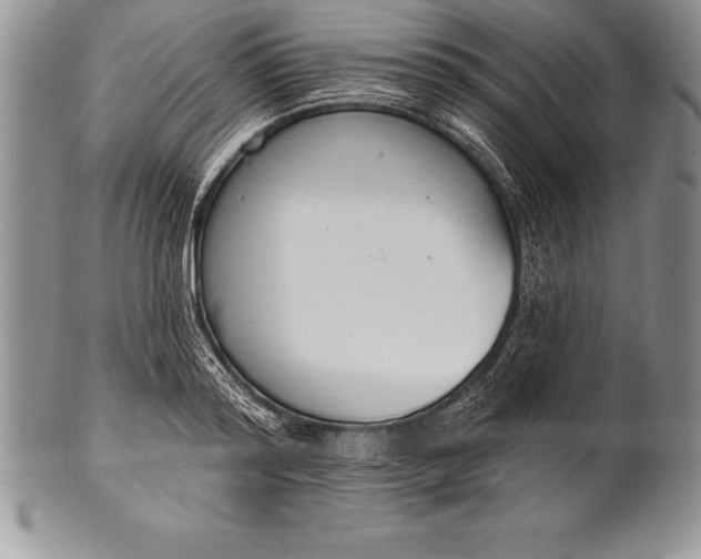 X0000100410796200806201758