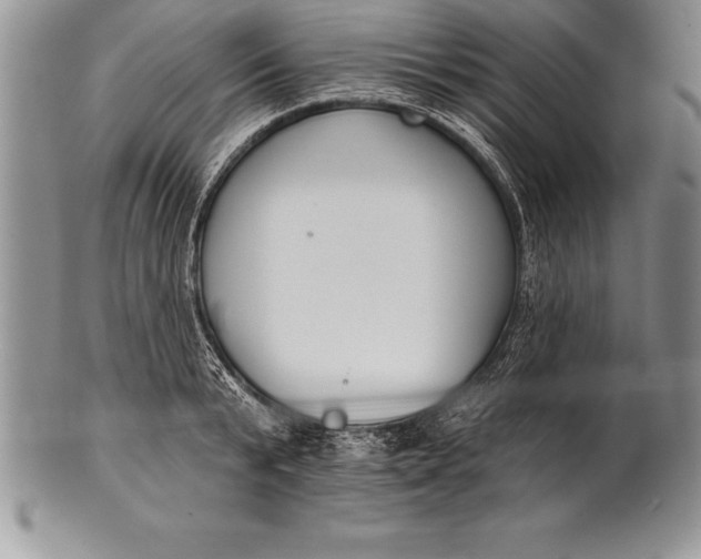 X0000100410799200806201758