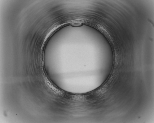 X0000100410800200806201758