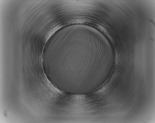 X0000100410802200806201758