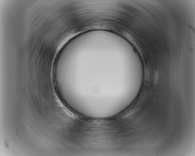 X0000100410803200806201758