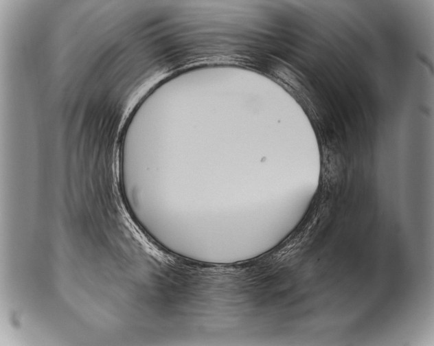 X0000100410804200806201758