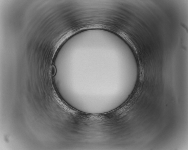 X0000100410805200806201758