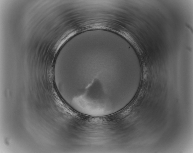 X0000100410806200806201758