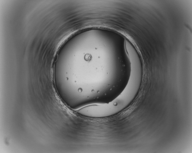 X0000100410807200806201758