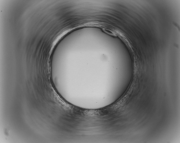 X0000100410808200806201758