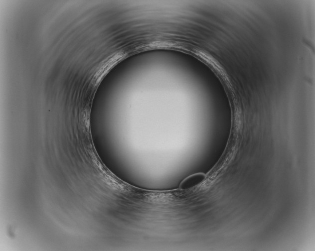 X0000100410809200806201758