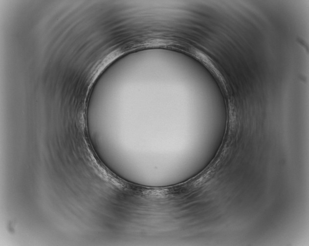 X0000100410810200806201758