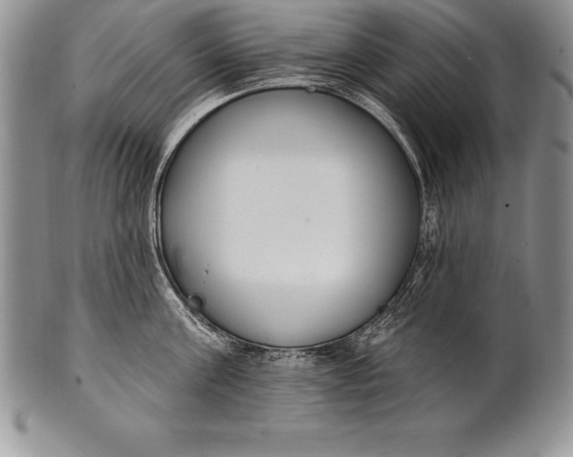 X0000100410811200806201758