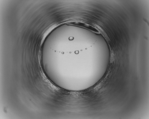 X0000100410812200806201758