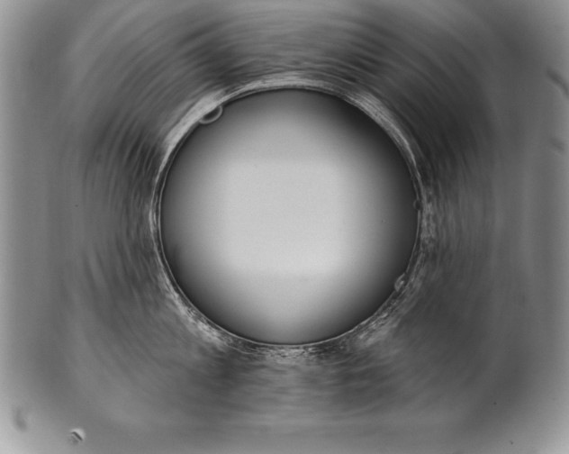 X0000100410813200806201758