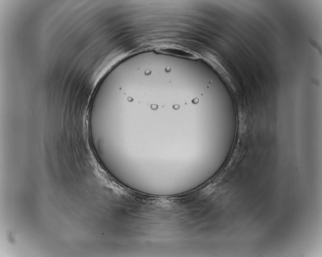 X0000100410814200806201758