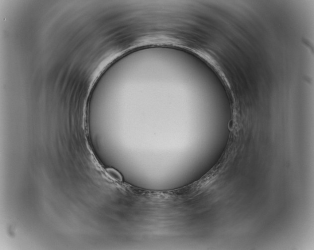 X0000100410815200806201758