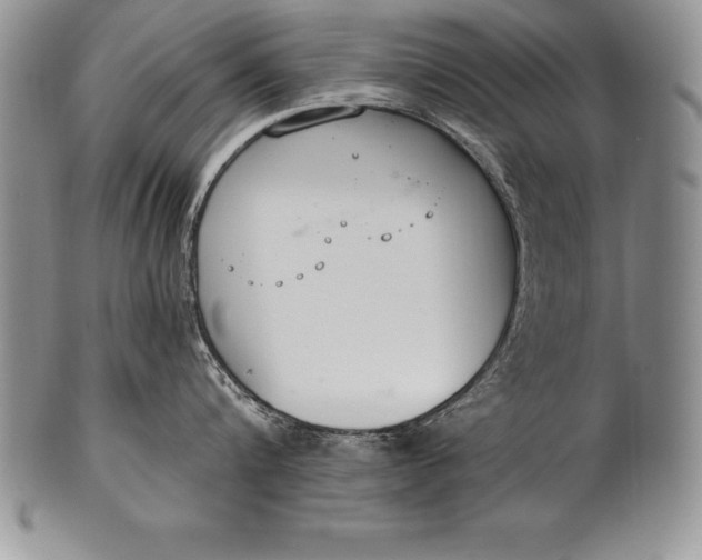 X0000100410816200806201758