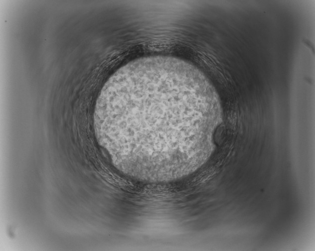 X0000100410817200806201757