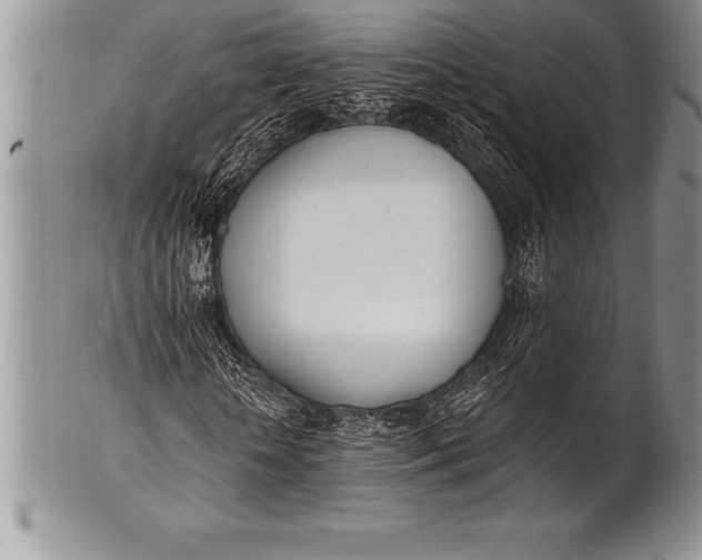 X0000100410818200806201757