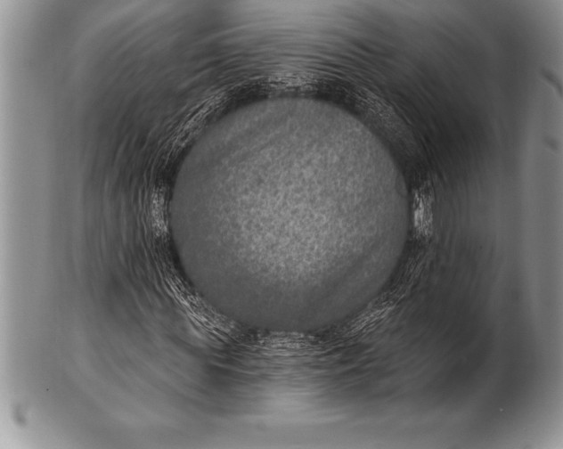 X0000100410819200806201757