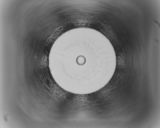 X0000100410820200806201757