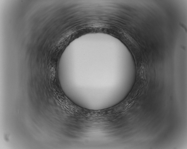 X0000100410821200806201757